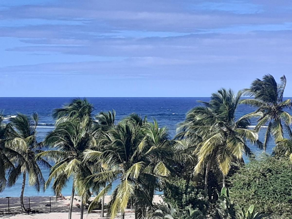 Studio Vue Sur Mer لو مول المظهر الخارجي الصورة